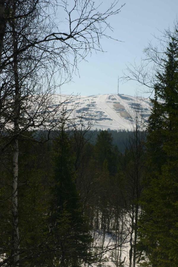 Hillankukka *
